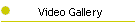 Video Gallery